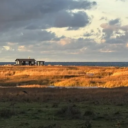 Mon House With View Over And Sea *